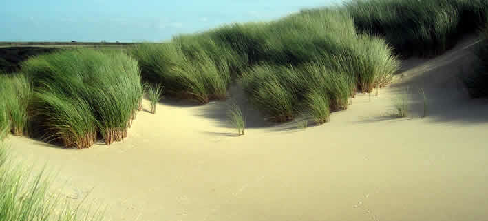 Freikörperkultur-Urlaub in den Niederlanden