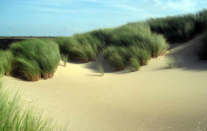 Freikörperkultur-Urlaub in den Niederlanden