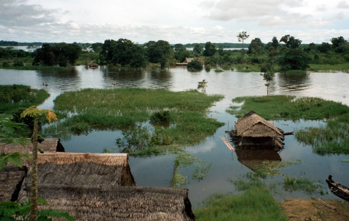 Highlight in Peru - der Amazonas