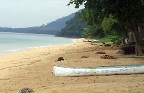 Koh Libong: Ein unberührtes Inselparadies in Thailand