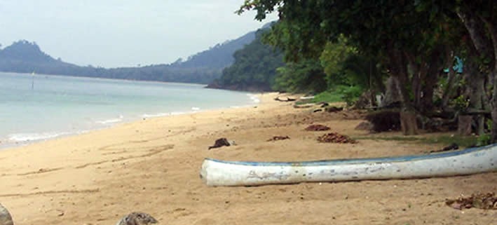 Koh Libong: Ein unberührtes Inselparadies in Thailand