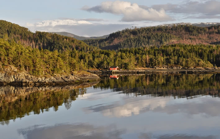 Asenfjord