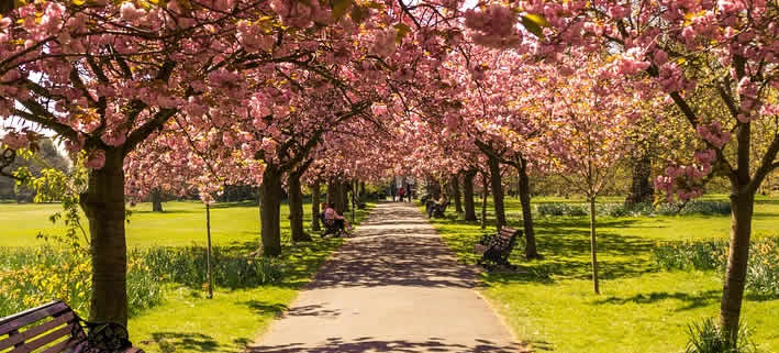 Spaziergang im Hyde Park