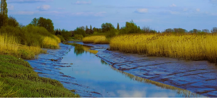 Radtour entlang der Schelde