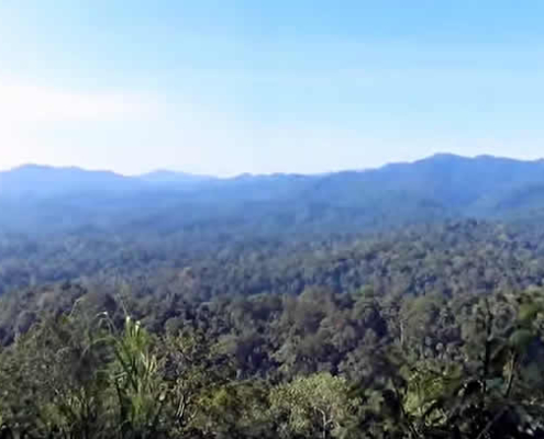 Kaeng Krung Nationalpark – Thailands grünes Geheimnis im Süden
