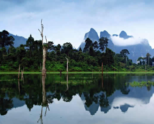 Die besten Touren im Khao Sok Nationalpark