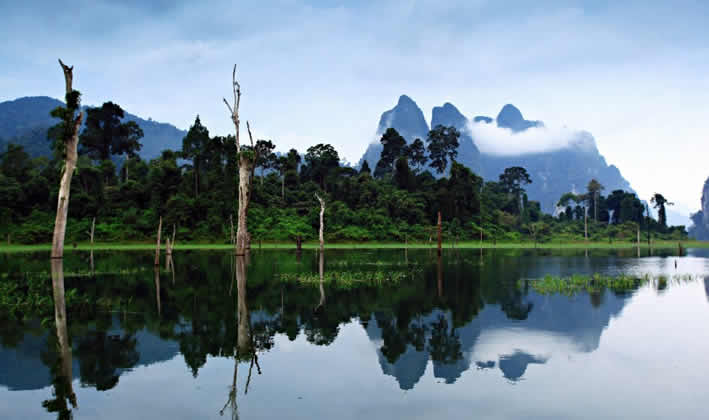 Die besten Touren im Khao Sok Nationalpark